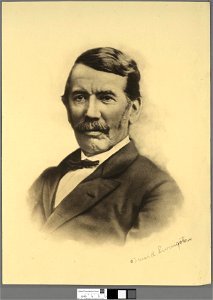 Portrait of David Livingstone (4674512)