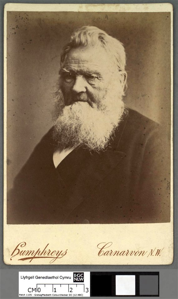 Portrait of David Griffith, Clwydfardd (4673092)