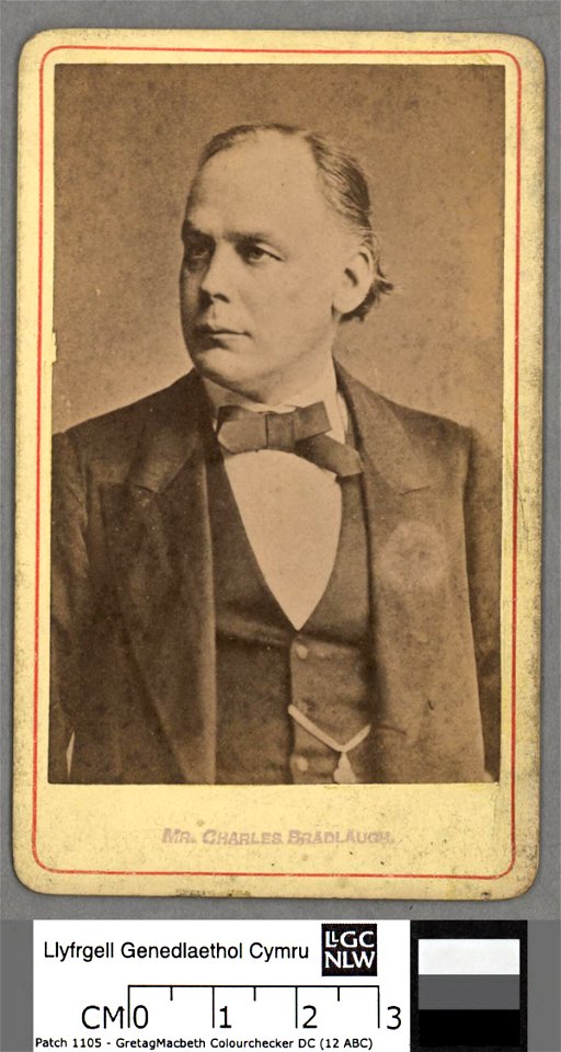Portrait of Charles Bradlaugh (4674315)