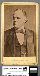 Portrait of Charles Bradlaugh (4674315)