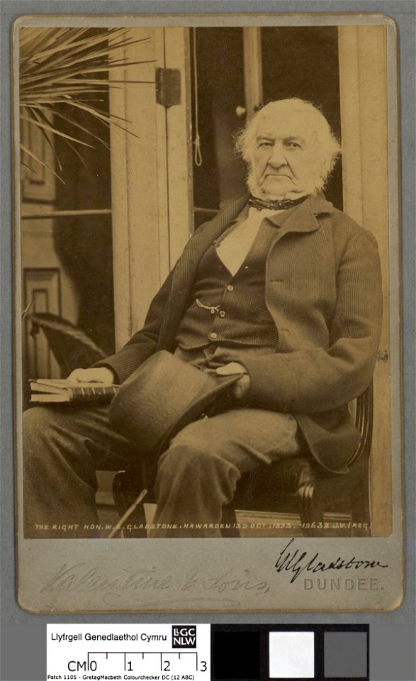 Portrait of E. Gladstone (4671095)