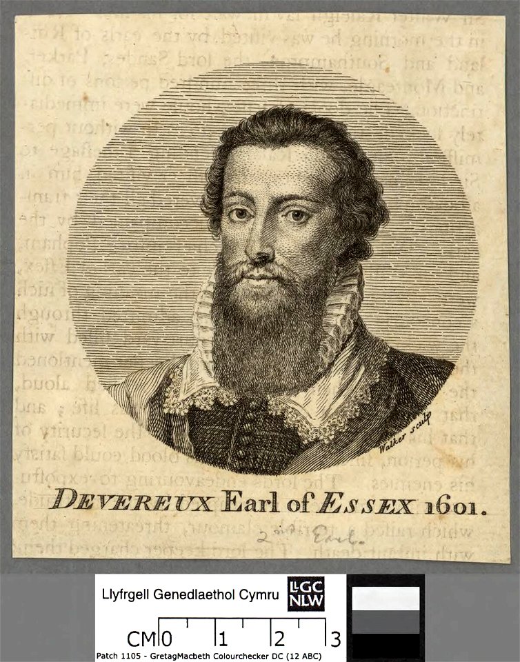 Portrait of Devereux (4673261)