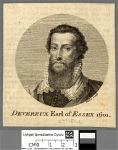 Portrait of Devereux (4673261)
