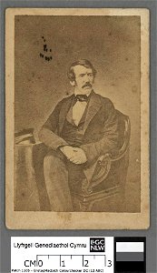 Portrait of David Livingstone (4671097)