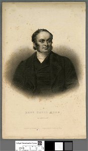 Portrait of David Rees, Llanelly (4673001)