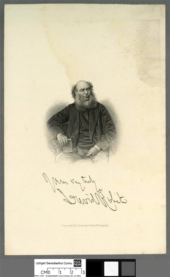 Portrait of David Roberts (4674011)