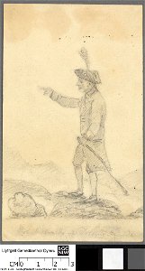 Portrait of Donkey or mule used by Robert Edwards of Dolgelly, guide (4674097)