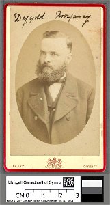 Portrait of David W. Jones, 'Dafydd Morganwg' (4670537)