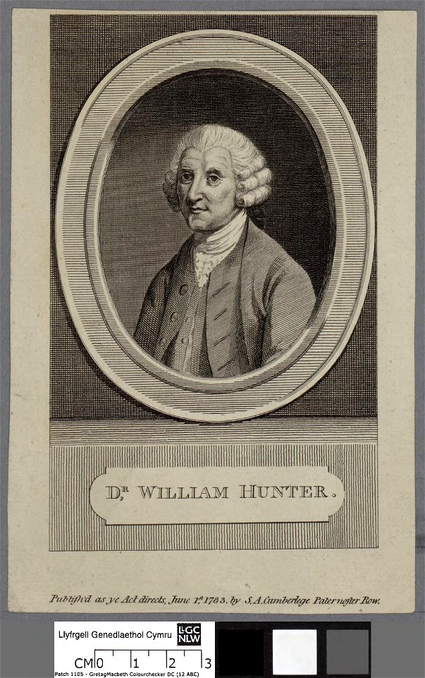 Portrait of Dr. William Hunter (4674435)