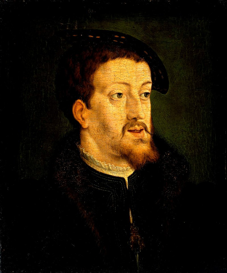 Portrait of Charles V (Vermeyen)