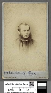 Portrait of Dr. John Roberts, Caer (4670504)