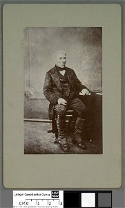 Portrait of D. Jones, Dolau Bach (4670288)