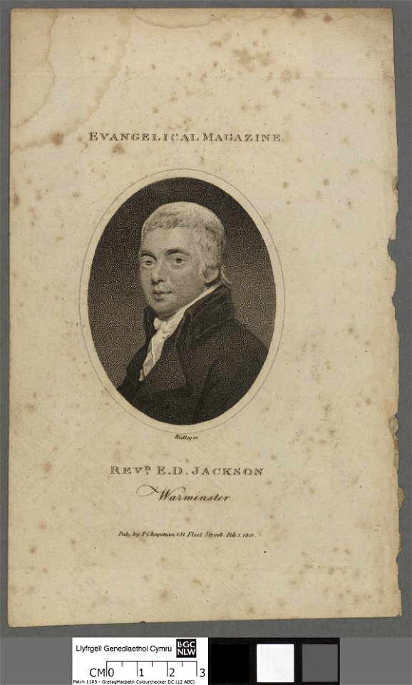 Portrait of E. D. Jackson, Warminster (4674141)