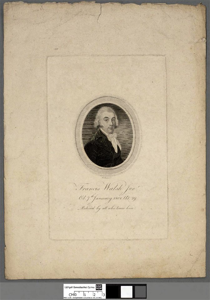 Portrait of Francis Walsh Junr (4672115)