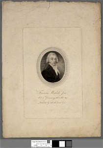 Portrait of Francis Walsh Junr (4672115)