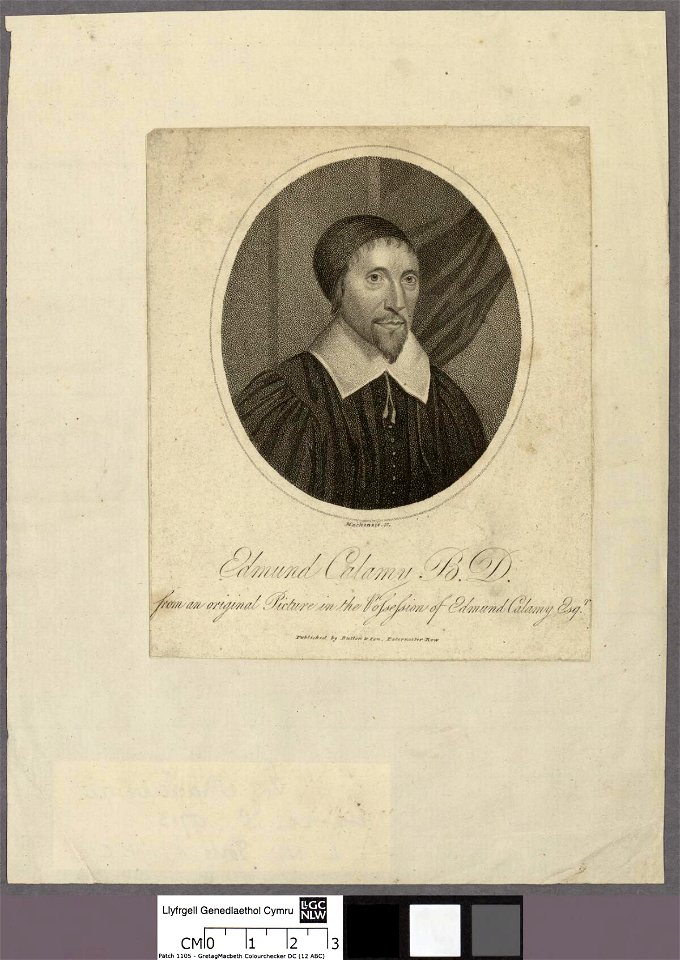 Portrait of Edmund Calamy B.D (4672403)
