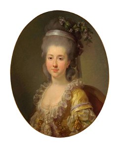 Portrait of Countess Urszula Potocka, née Zamoyska (c. 1750-1808-16), bust-length