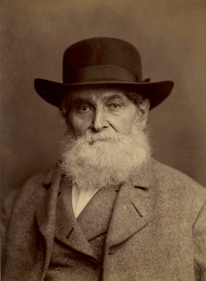 Portrait of Evan Davies (4672729)