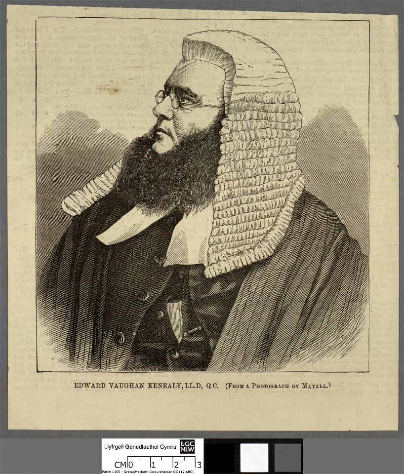 Portrait of Edward Vaughan Kenealy, LL.D., Q.C (4673101)