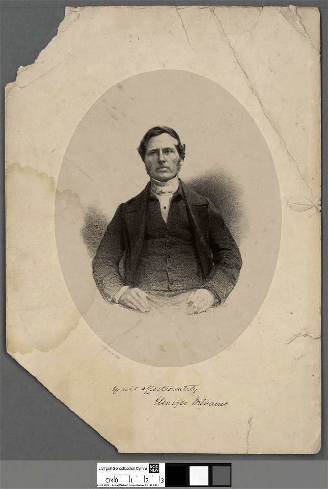 Portrait of Ebenezer Williams (4672174)