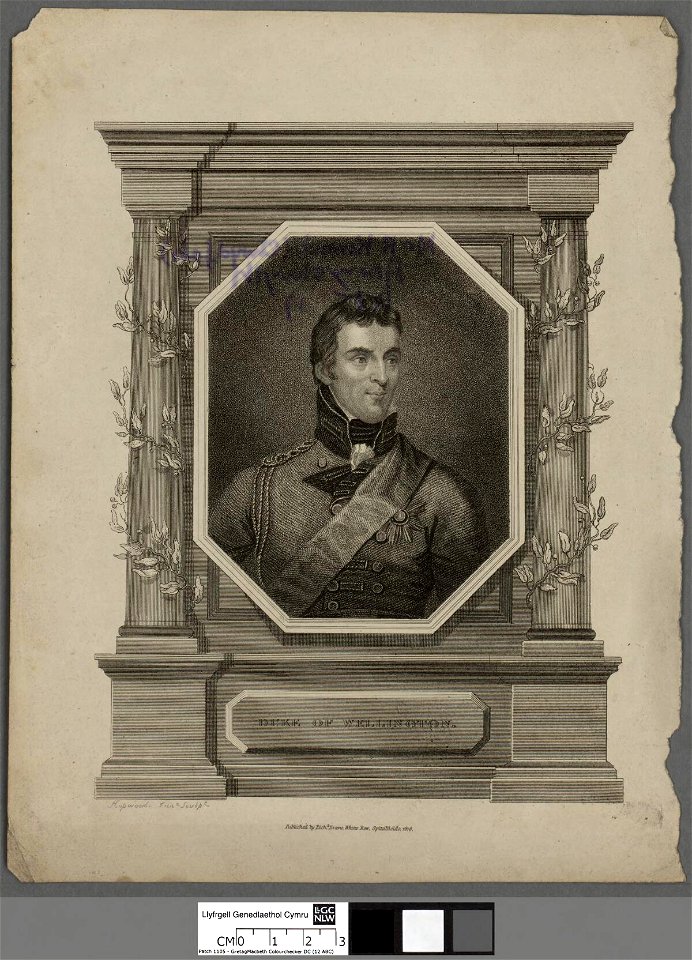 Portrait of Duke of Wellington (4672139)