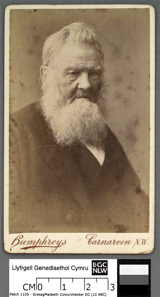 Portrait of David Griffith, Clwydfardd (4672764)