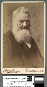 Portrait of David Griffith, Clwydfardd (4672764)