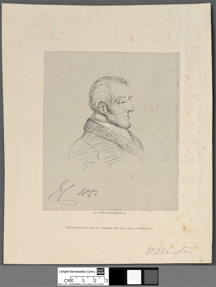 Portrait of Duke of Wellington (4672138)