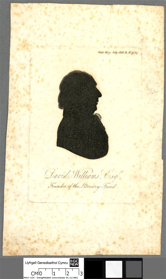 Portrait of David Williams, Esq (4673200)