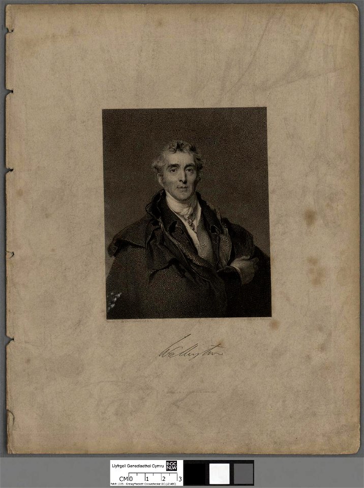 Portrait of Duke of Wellington (4672137)