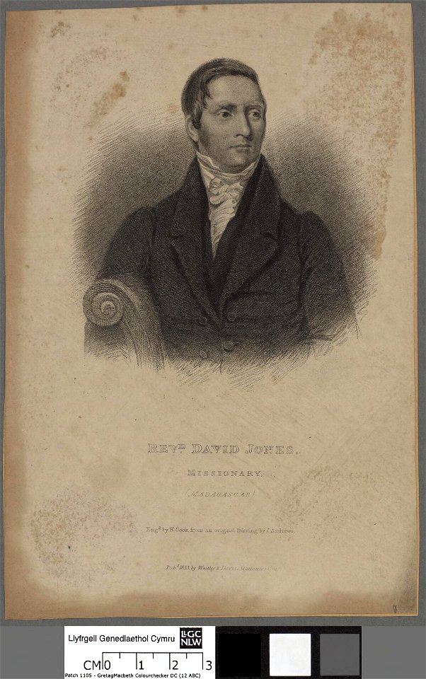 Portrait of David Jones (4673331)