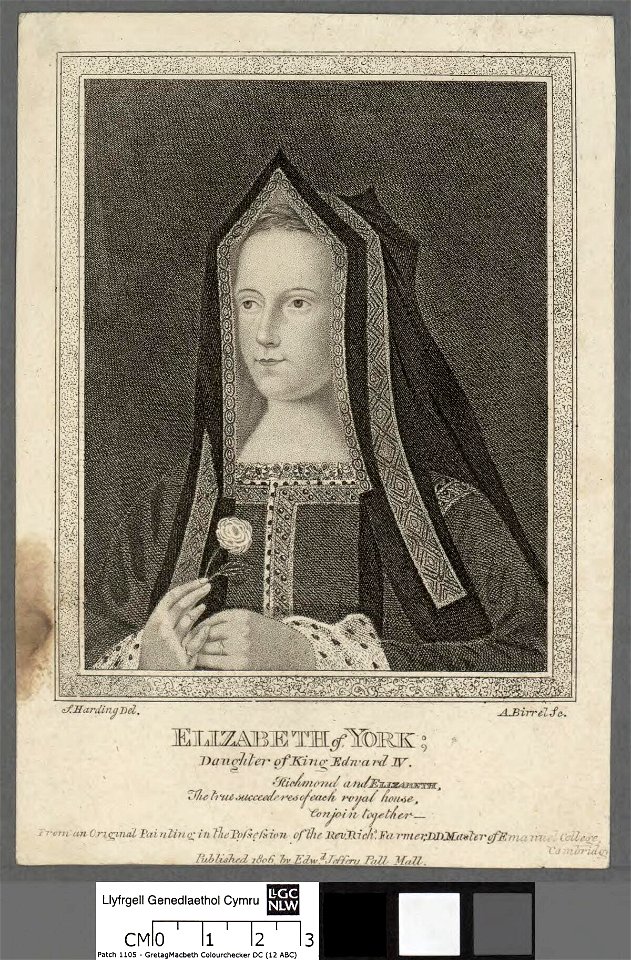 Portrait of Elizabeth of York (4674103)