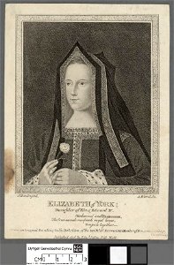 Portrait of Elizabeth of York (4674103)