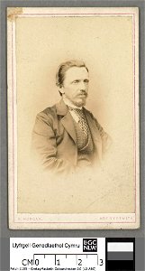 Portrait of David Evans, Cincinatti, U.S.A (4674374)