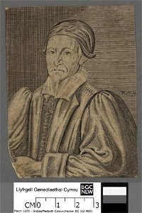 Portrait of David Jenkins (4673321)