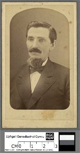 Portrait of David Morgan (4670408)