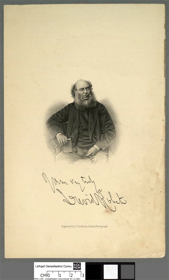 Portrait of David Roberts (4674010)
