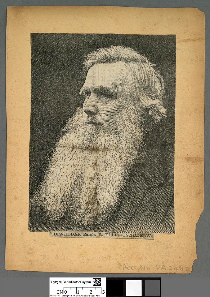 Portrait of Diweddar Barch. R. Ellis (Cynddelw) (4674370)