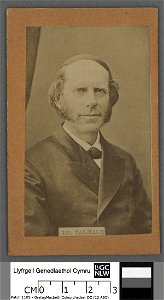 Portrait of Dr. Talmage (4671171)