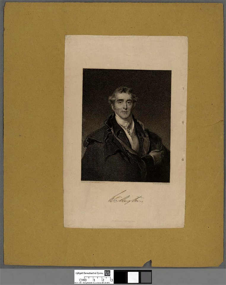 Portrait of Duke of Wellington (4672140)