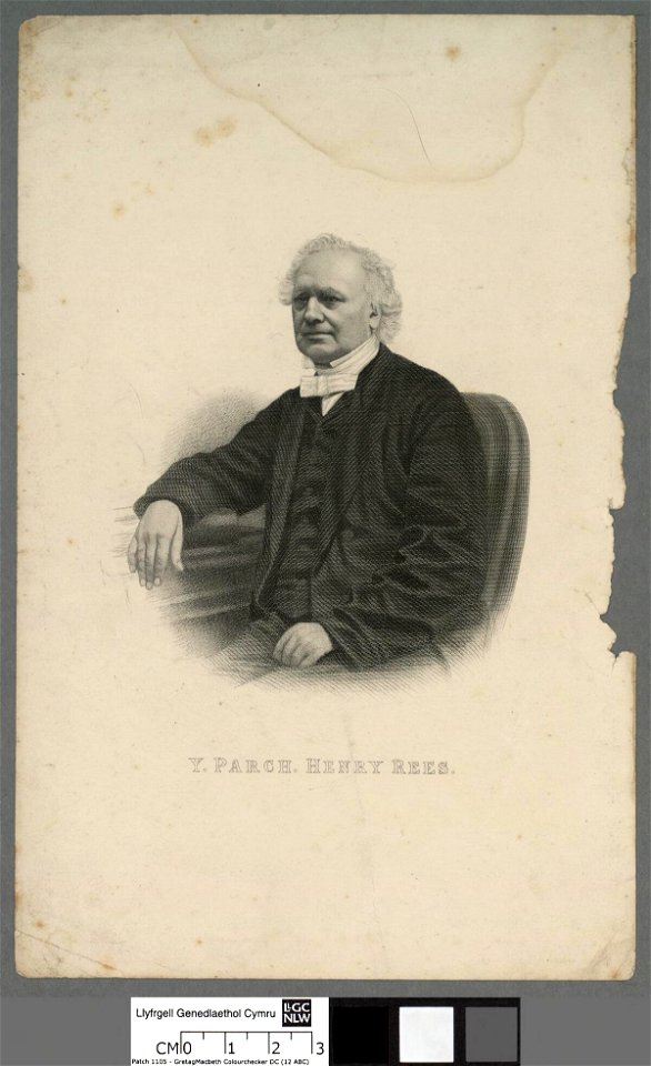 Portrait of Henry Rees (4674006)
