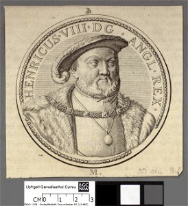 Portrait of Henry VIII (4672904)