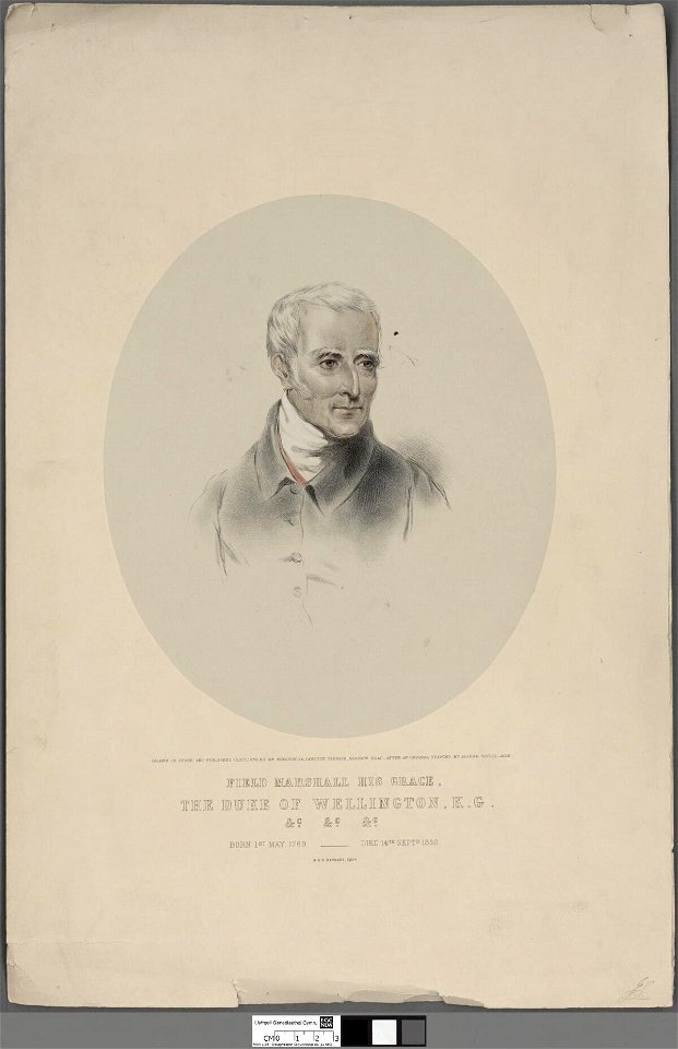 Portrait of Field Marshall His Grace, The Duke of Wellington, K.G. (4672135)