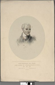 Portrait of Field Marshall His Grace, The Duke of Wellington, K.G. (4672135)