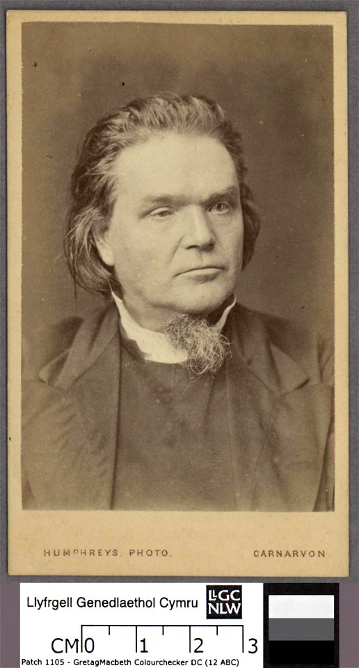 Portrait of Hwfa MoÌ‚n (4671219)