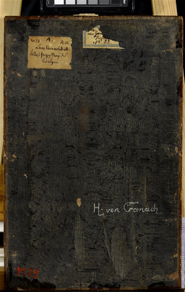 Portrait of Georg the Bearded, Duke of Saxony (DE WSE M0075 2013-02 Reverse)
