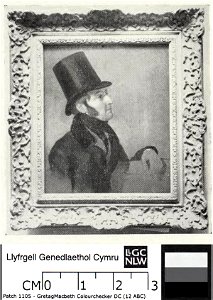 Portrait of George Price Trevor, M.P. for Carmarthenshire (4673047)