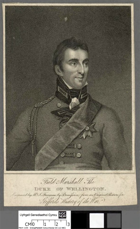 Portrait of Field Marshall The Duke of Wellington (4673878)