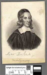 Portrait of George Herbert (4672589)