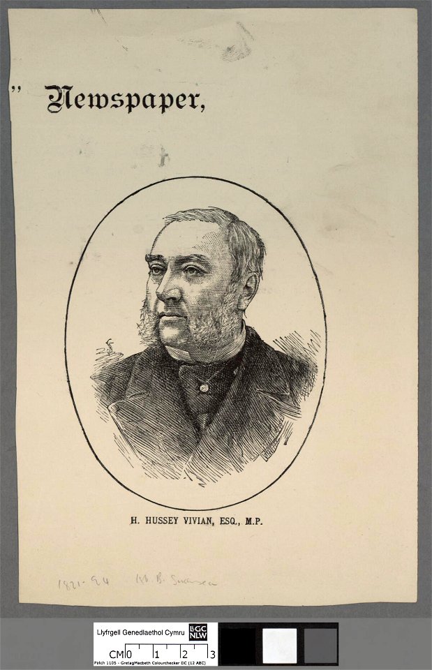 Portrait of H. Hussey Vivian, Esq., M.P (4671460)